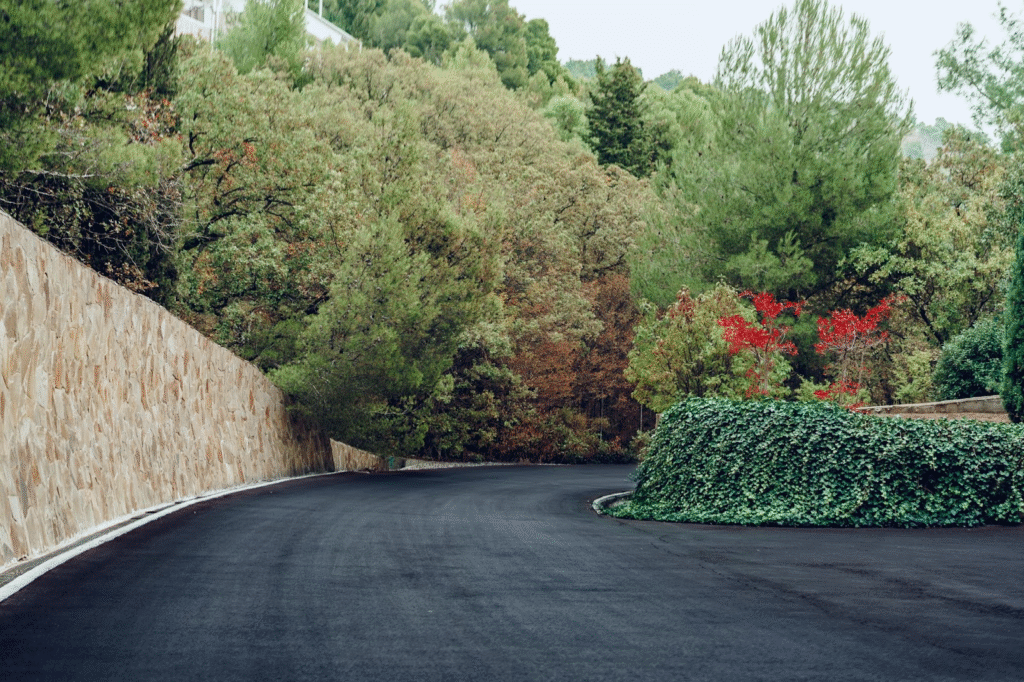A rounded asphalt driveway with plants on either side descending down a slope.